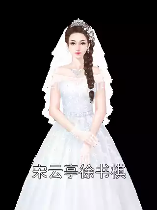 宋云亭徐书棋小说