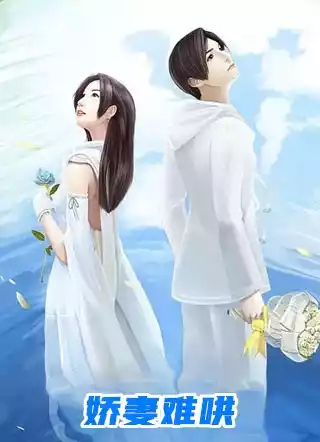娇妻难哄