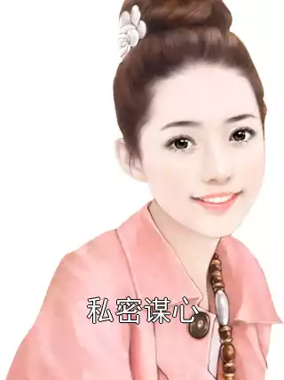 私密谋心小说