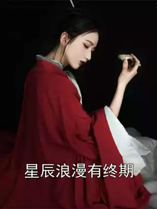 星辰浪漫有终期小说