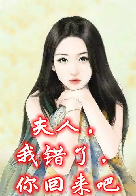 夫人我错了你回来吧小说