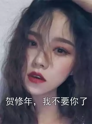 贺修年，我不要你了小说