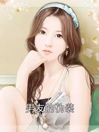 男友的伪装小说