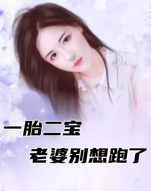 一胎二宝老婆别想跑了小说