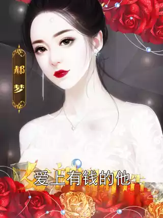 爱上有钱的他小说