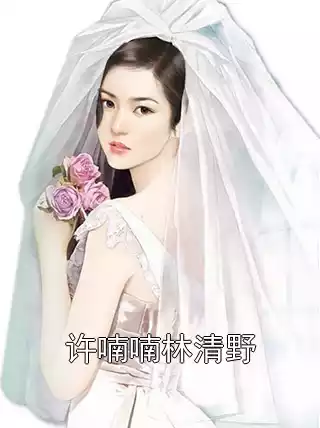 许喃喃林清野小说