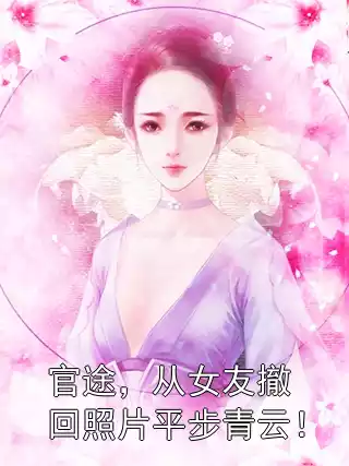 官途，从女友撤回照片平步青云！小说