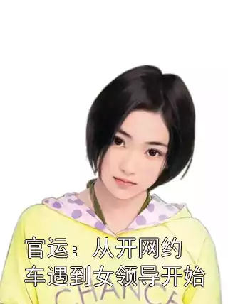 官运：从开网约车遇到女领导开始小说