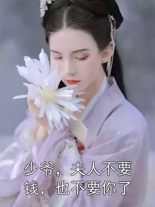 少爷，夫人不要钱，也不要你了小说