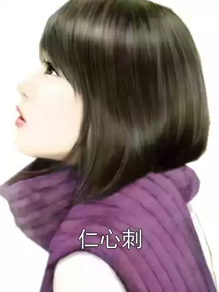 仁心刺小说