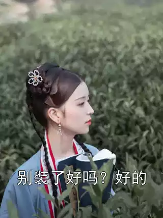 别装了好吗？好的小说