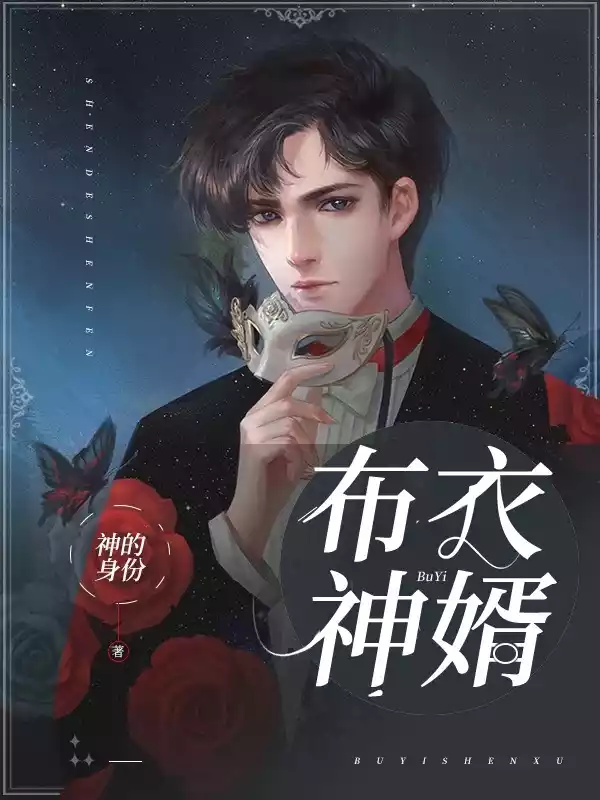 布衣神婿李天和小说