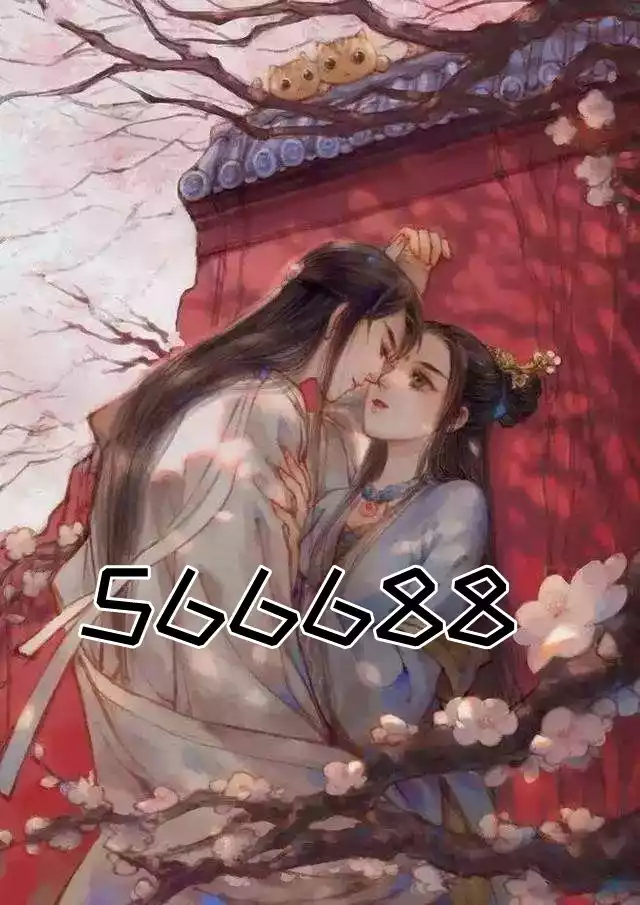 566688