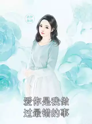爱你是我做过最错的事小说