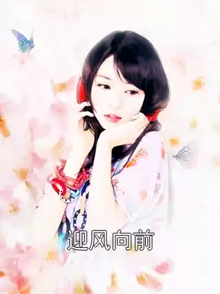 迎风向前小说