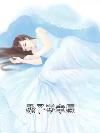桑予岑聿辰小说