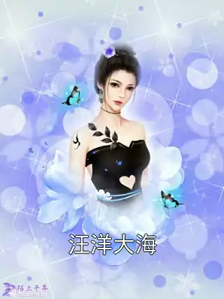 汪洋大海小说