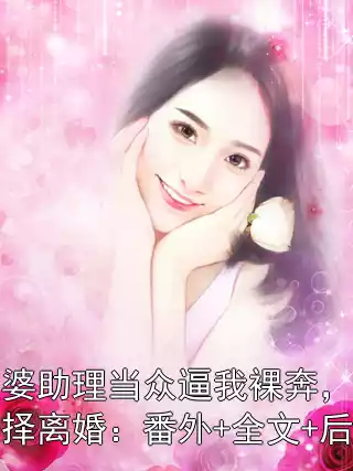 老婆助理当众逼我裸奔，我选择离婚：番外+全文+后续小说