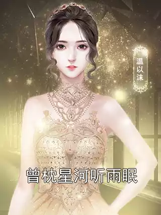 曾枕星河听雨眠
