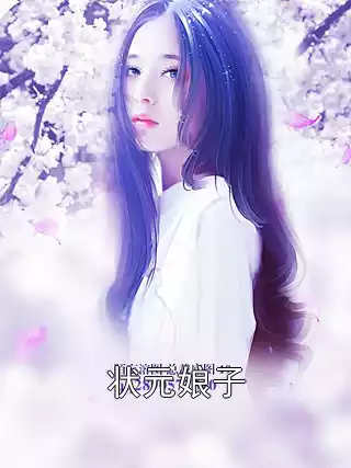 状元娘子小说