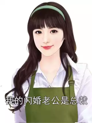 我的闪婚老公是总裁小说