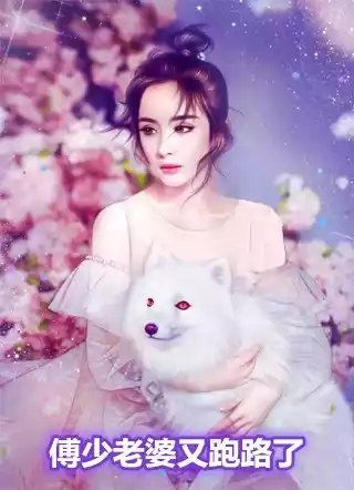 傅少老婆又跑路了