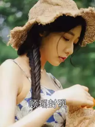 顾瑶封砚小说