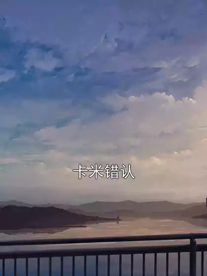 卡米错认小说