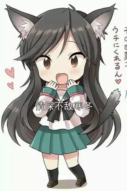 情深不敌寒冬小说