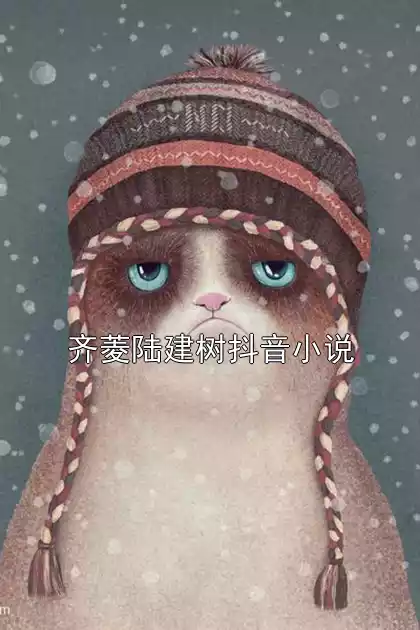 齐菱陆建树抖音小说小说