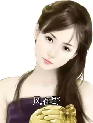风在野小说