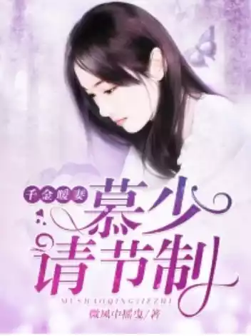 千金暖妻慕少请节制小说