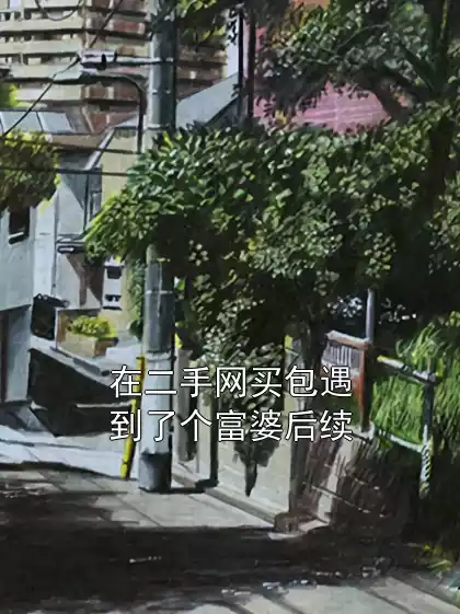 在二手网买包遇到了个富婆后续小说