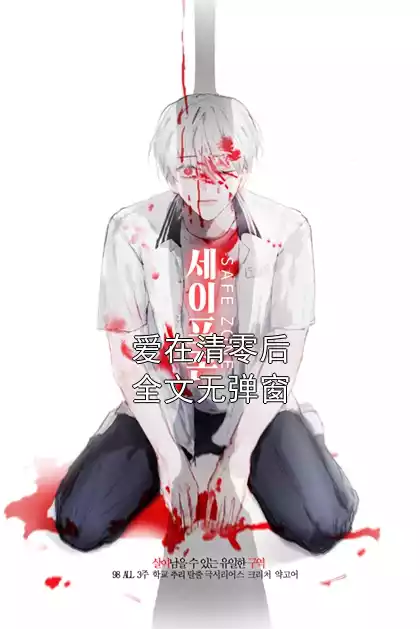 爱在清零后全文无弹窗小说