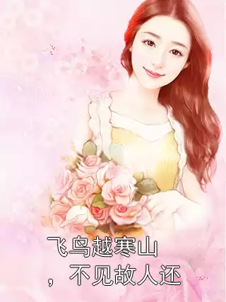 飞鸟越寒山，不见故人还