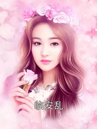临安乱小说