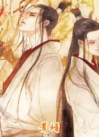 贵婿小说