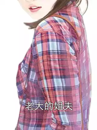 老大的姐夫小说