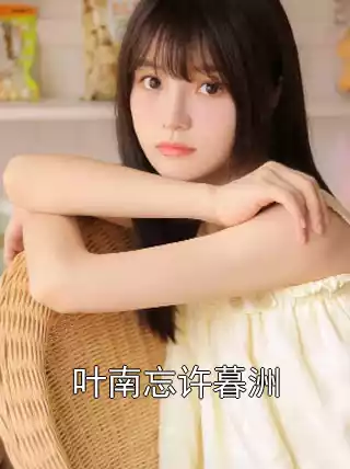 叶南忘许暮洲小说