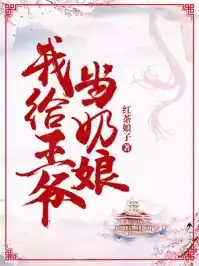 我给王爷当奶娘小说
