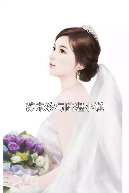 苏未汐与陆湛小说