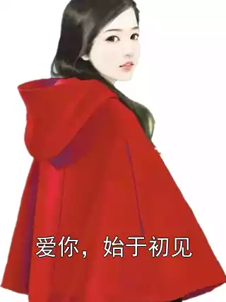 爱你，始于初见小说