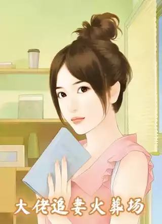 大佬追妻火葬场小说
