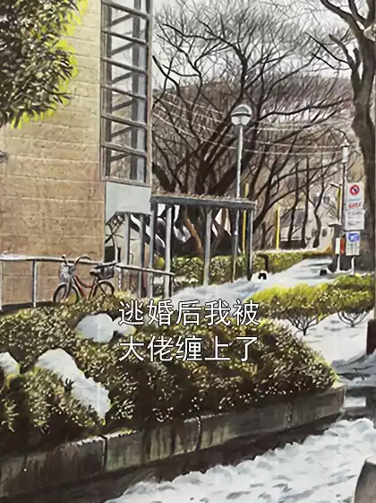 逃婚后我被大佬缠上了小说