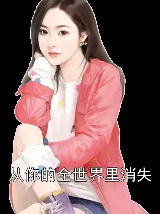 从你的全世界里消失