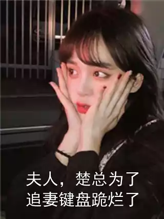 夫人，楚总为了追妻键盘跪烂了小说
