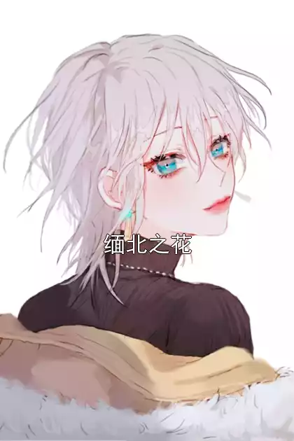缅北之花小说
