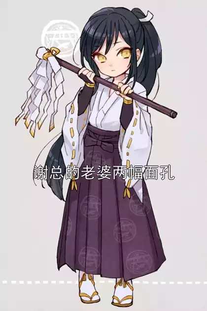 谢总的老婆两幅面孔小说