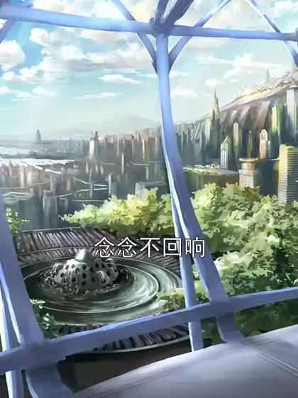 念念不回响小说