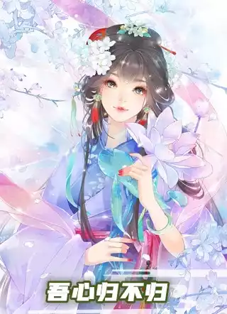 吾心归不归小说